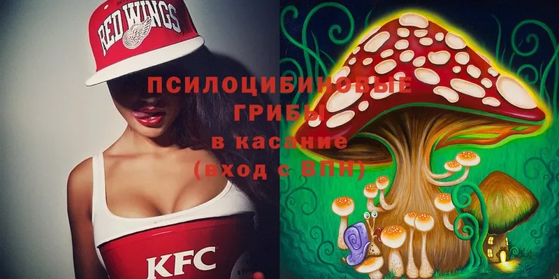 кракен как войти  цены наркотик  Калининец  Галлюциногенные грибы MAGIC MUSHROOMS 